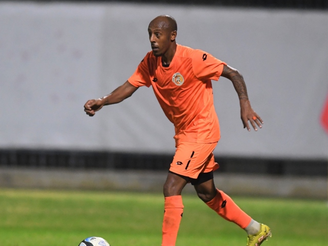 איילה (אבי רביבו)